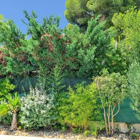 Spacieuse A Avec Piscine Et Jardin. Villa