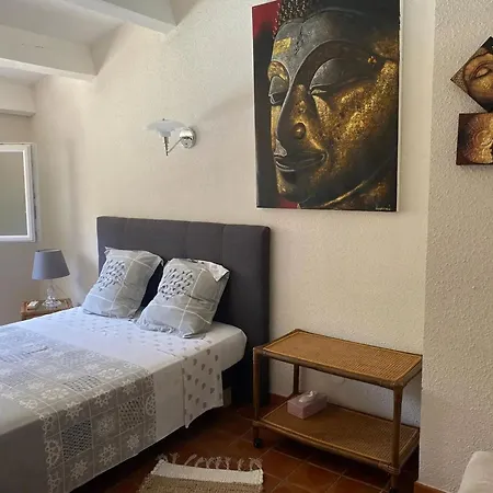 Spacieuse A Avec Piscine Et Jardin. Agde