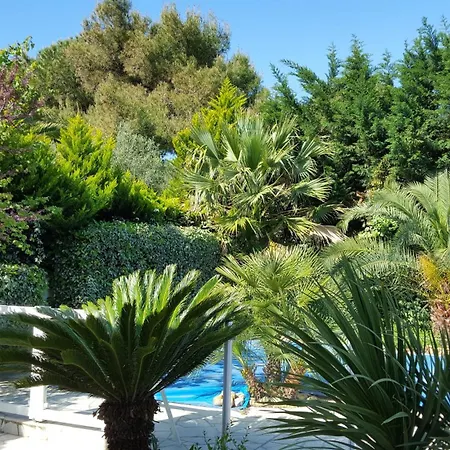 Spacieuse A Avec Piscine Et Jardin.