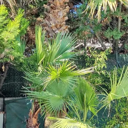 De 4 Avec Piscine Privee Jardin Clos Et Wifi A A 1 Km De La Agde