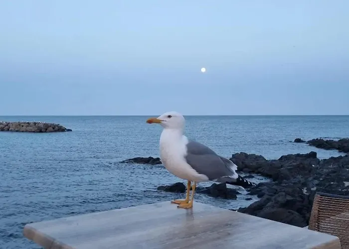 Spacieuse à Avec Piscine Et Jardin. Agde