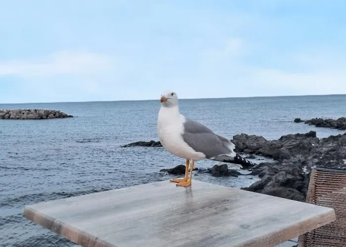 Villa Spacieuse à Avec Piscine Et Jardin. *