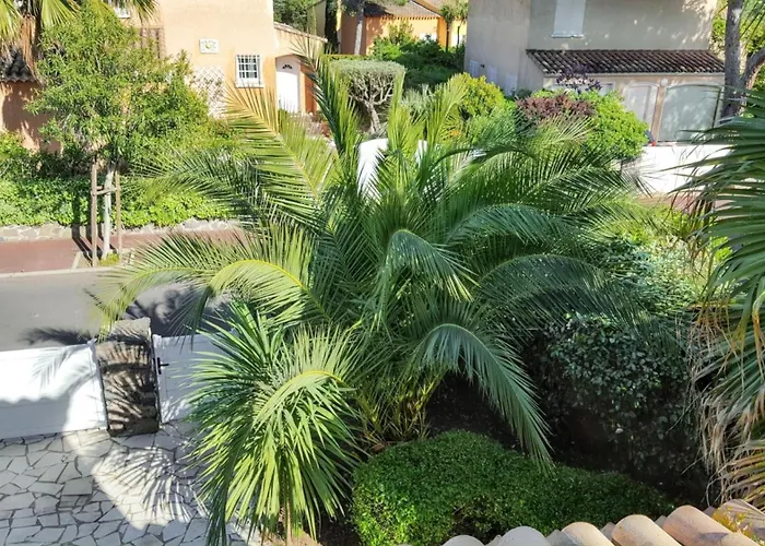 Spacieuse A Avec Piscine Et Jardin. Villa *