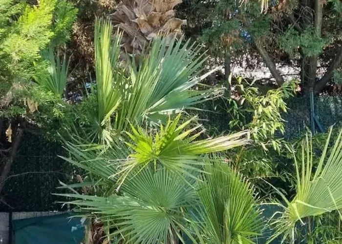 Spacieuse A Avec Piscine Et Jardin. Villa *